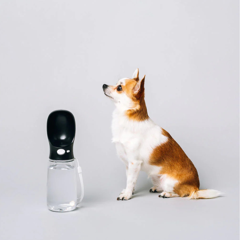 Thirsty Dog Bottle | Black