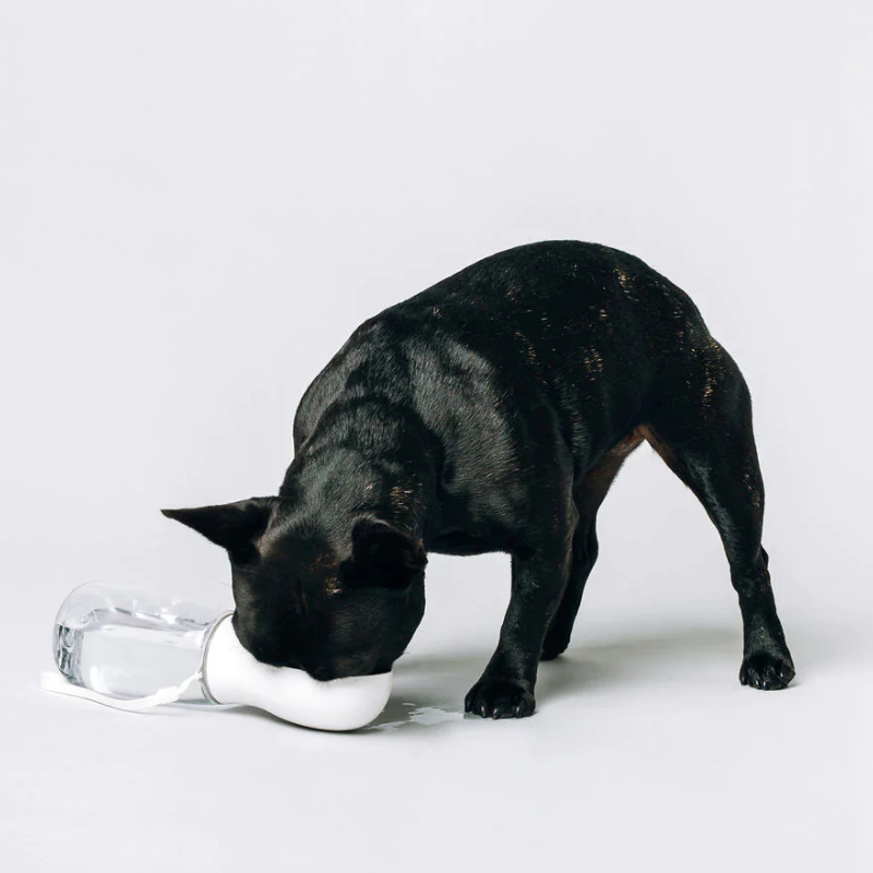 Thirsty Dog Bottle | White