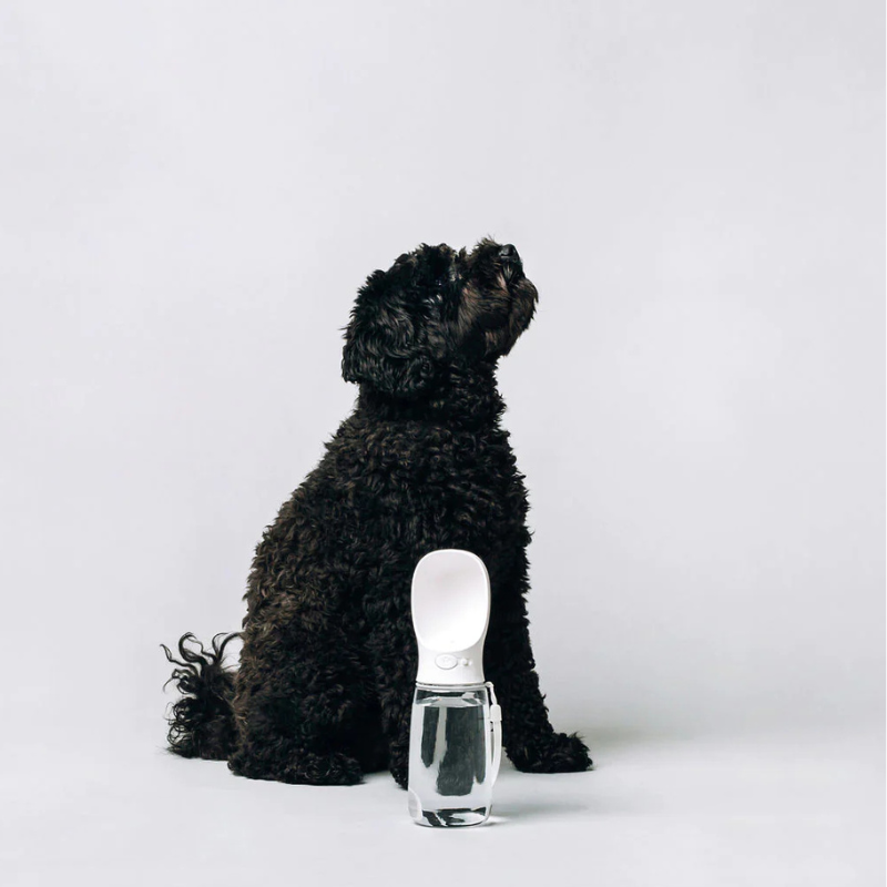 Thirsty Dog Bottle | White